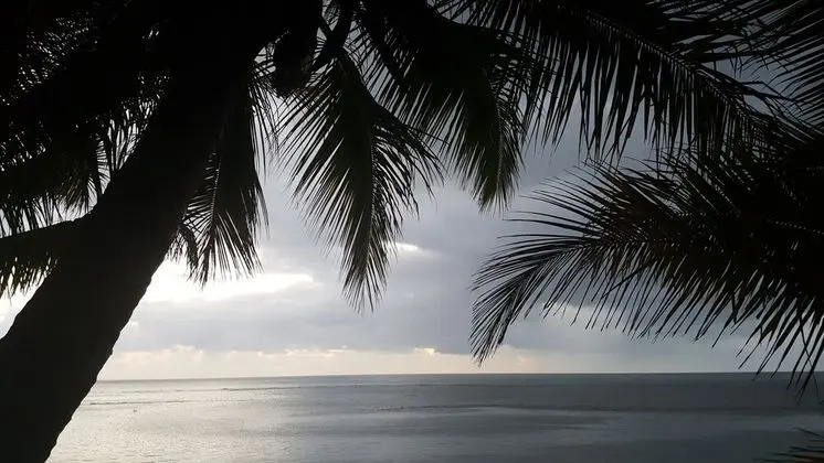 Sea Temple Port Douglas Luxury Penthouses - Swim Outs & Spa Apartments - Plaj