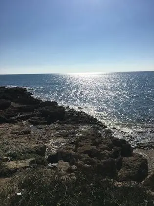 Sea view cottage on sea coast - Dış Mekan