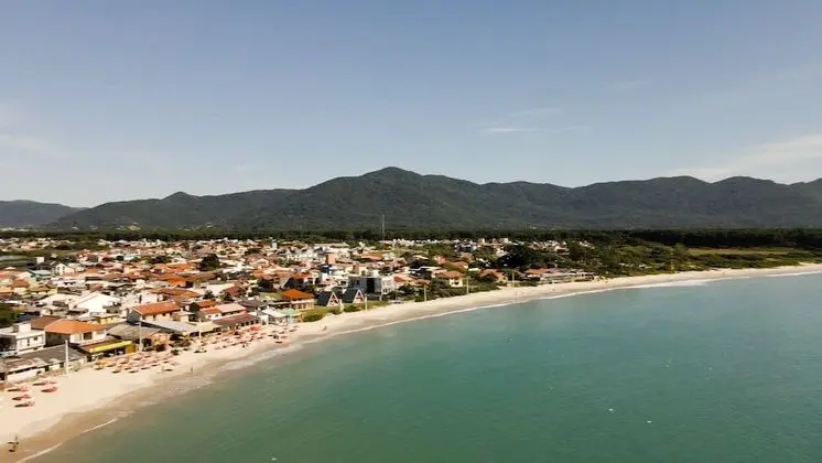 Sea Wolf Surf Club