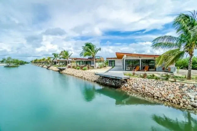 Seabird Belize