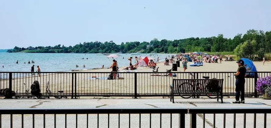 Seacliff Beach Suites - Plaj