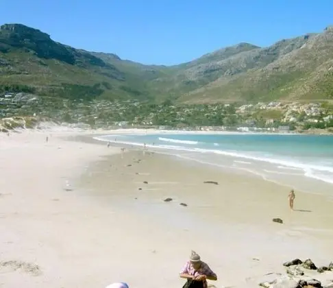 Seacliffe Lodge - Plaj