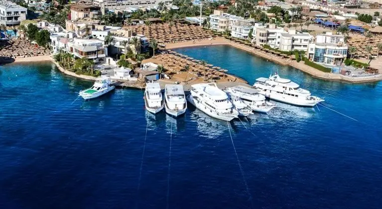 Seagull Beach Resort Families & Couples Only - All Inclusive - Genel