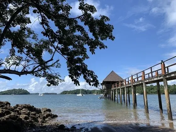 Seagull Cove Resort - Plaj