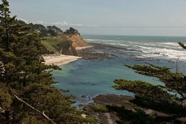 Seal Cove Inn - Plaj