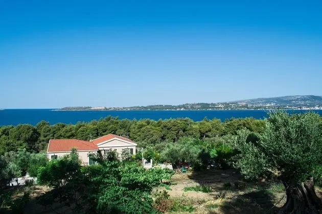 Seapine Studios