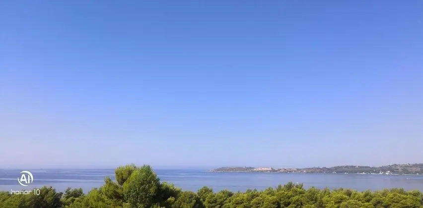 Seapine Studios - Oda Manzaraları