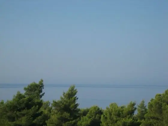 Seapine Studios - Plaj
