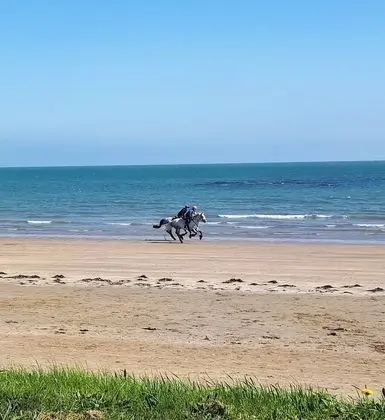 Seaside holiday Apartments