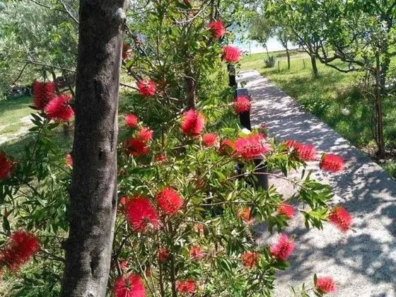Seaside Holiday Home in Starigrad With Garden and Balcony - Dış Mekan