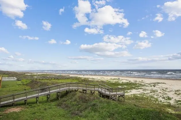 Seaside Sanctuary