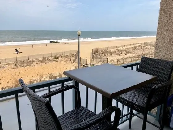 Seaside Star