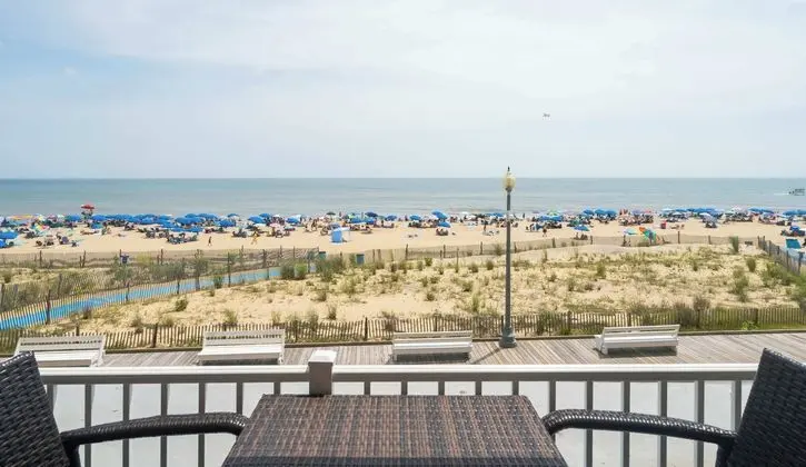 Seaside Star - Öne Çıkan Resim
