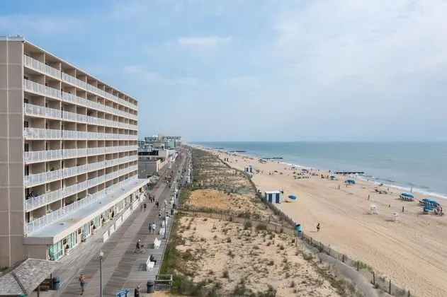 Seaside Star - Plaj