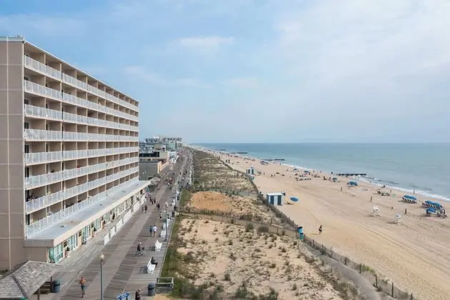 Seaside Star - Plaj