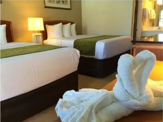 Seasons Florida Resort - Oda