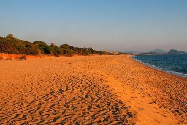 Seaview Flat In An Olive Grove By The Beach - Plaj