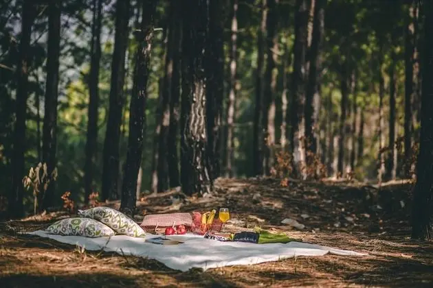 Seclude Lansdowne - Uttarakhand - Dış Mekan