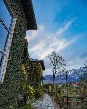 Seclude Palampur - Himachal Pradesh - Dış Mekan