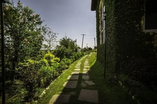 Seclude Palampur - Himachal Pradesh - Lobi