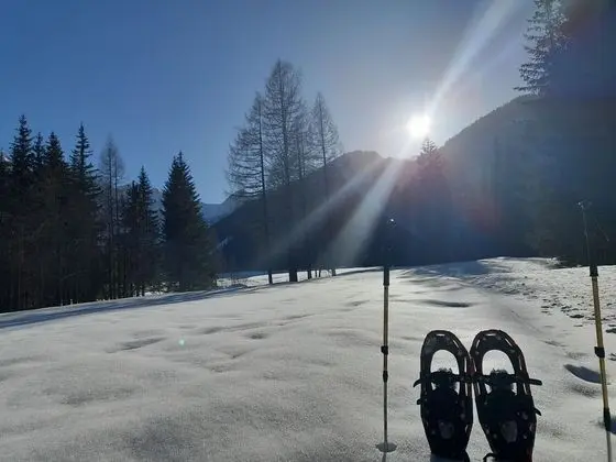 Secluded Apartment in Ferlach near Bodental Ski Lift - Dış Mekan