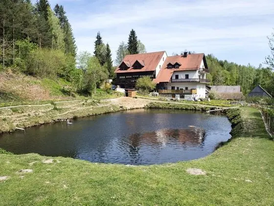 Secluded Apartment in Schönsee With Balcony - Dış Mekan