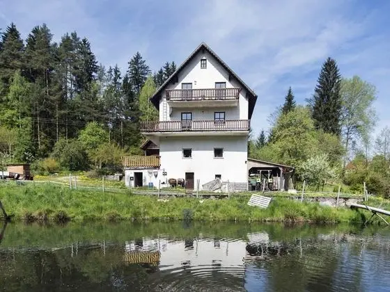 Secluded Apartment in Schönsee near Forest