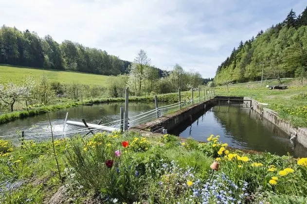 Secluded Apartment in Schönsee near Forest - Genel
