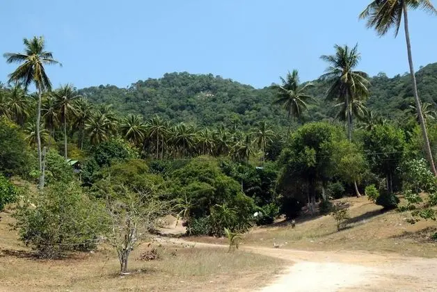 Secret Garden Village - Dış Mekan