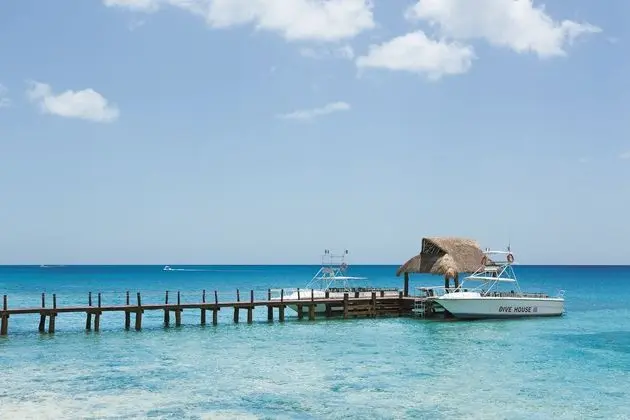 Secrets Aura Cozumel (adults-only) - Plaj
