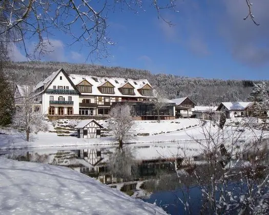 Seehotel Gut Dürnhof - Dış Mekan