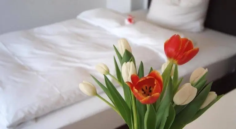 SEEGER Living - Apartments am Karlstor - Genel