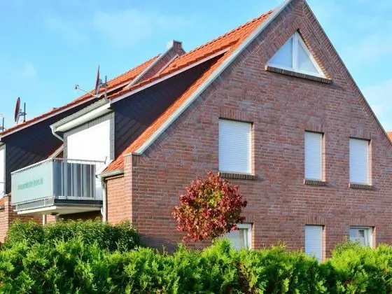 Seegras Norden in Norden