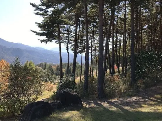 Sehongarten Omi