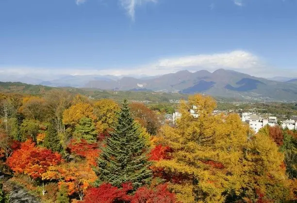 Seikanso