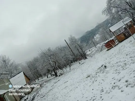 Sejour Lake Mountain View for 3 People - Dış Mekan