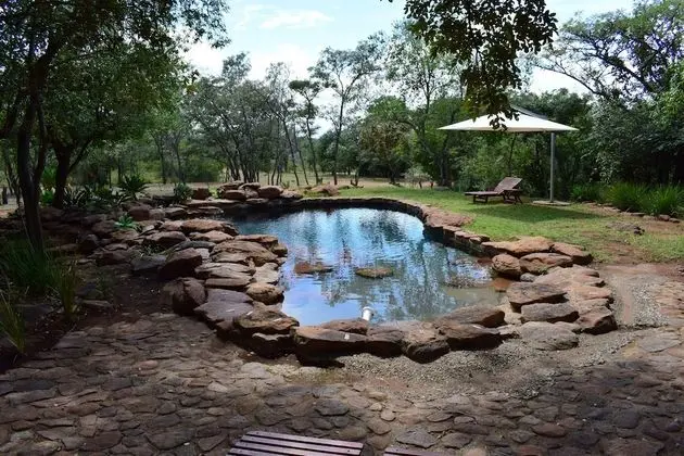 Sekala Private Game Lodge - Havuz