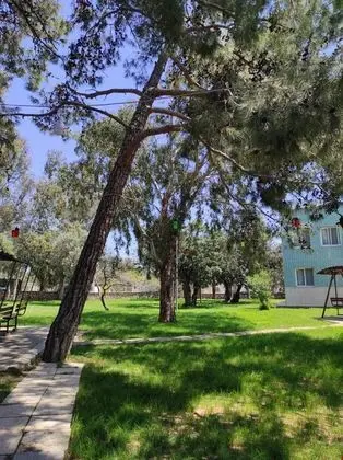 Selefkos Hotel - Genel