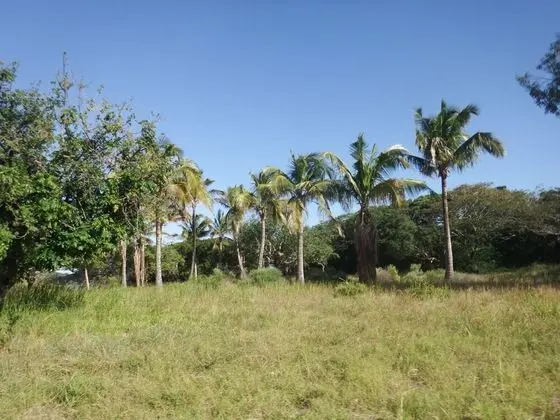 Self catering Mozambique - Dış Mekan