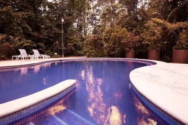 Selva Verde Lodge & Rainforest Reserve - Havuz