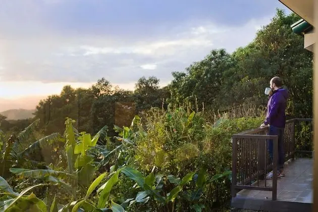 Senda Monteverde