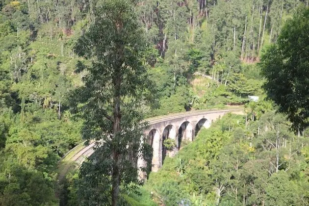 Senevi 9 Arch Homestay