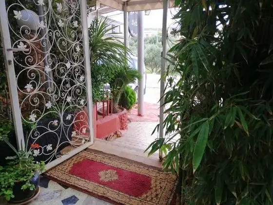 Senhaja Hotel - Hostel - Lobi
