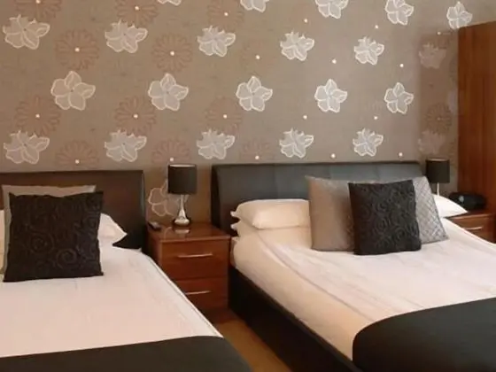 Senlac Guesthouse - Oda