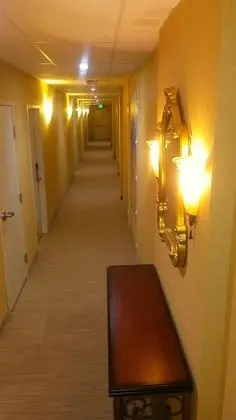 Sens Hotel & Vanne Bistro Berkeley - İç Mekan