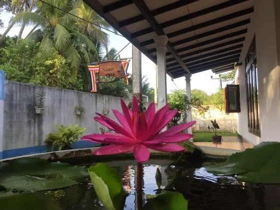 senu villa - 1