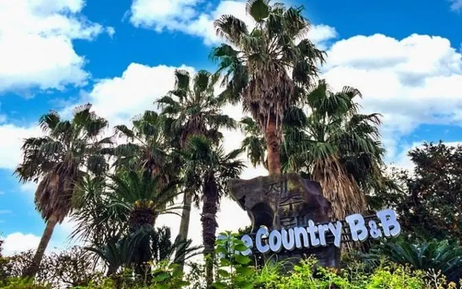 Seoguipo The Country B&B Pension