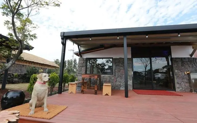 Seogwipo Chogain inn Guest House - Bina Özellikleri