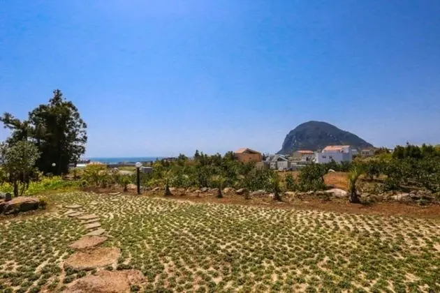 Seogwipo Gonmul Swimpang Pension - Misafir Tesisleri ve Hizmetleri