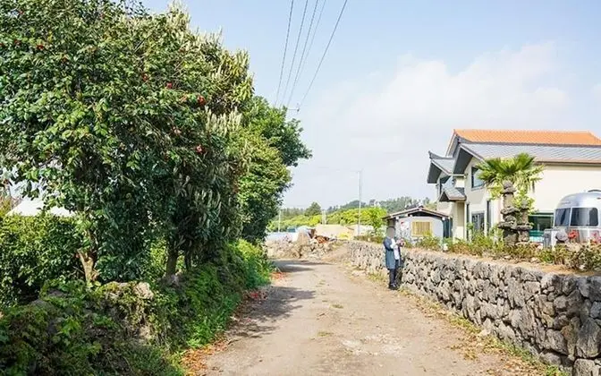 Seogwipo Haengbok Pension - Misafir Tesisleri ve Hizmetleri
